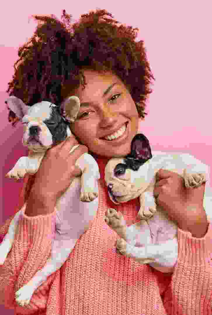 h1-filler-counter-img-1